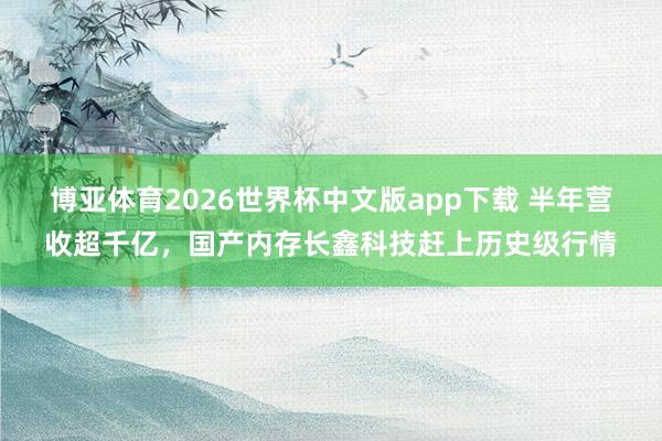 博亚体育2026世界杯中文版app下载 半年营收超千亿,国产内存长鑫科技赶上历史级行情