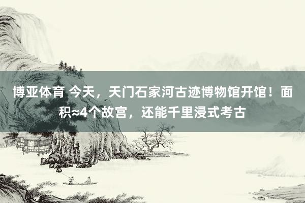 博亚体育 今天，天门石家河古迹博物馆开馆！面积≈4个故宫，还能千里浸式考古