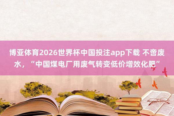 博亚体育2026世界杯中国投注app下载 不啻废水,“中国煤电厂用废气转变低价增效化肥”