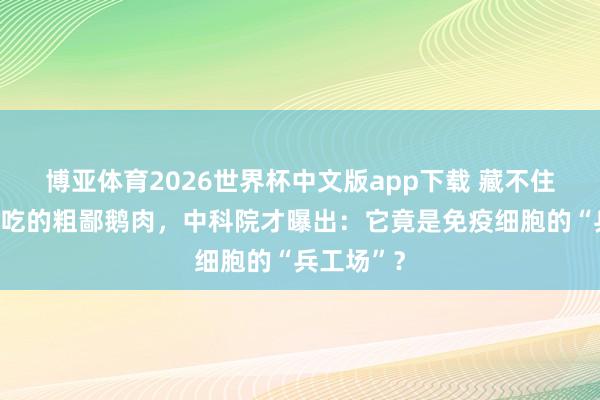博亚体育2026世界杯中文版app下载 藏不住了!天天吃的粗鄙鹅肉,中科院才曝出:它竟是免疫细胞的“兵工场”?