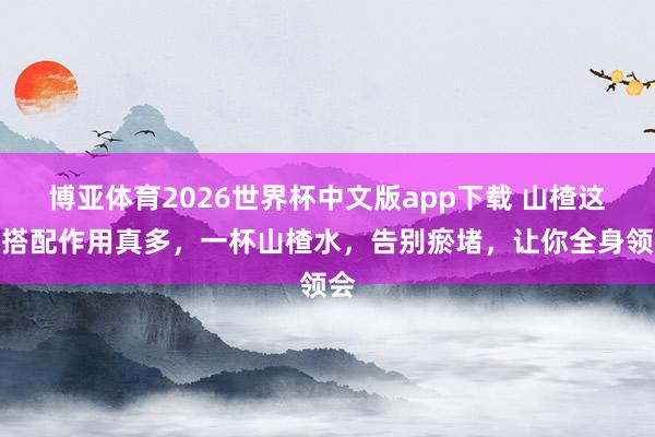 博亚体育2026世界杯中文版app下载 山楂这么搭配作用真多，一杯山楂水，告别瘀堵，让你全身领会