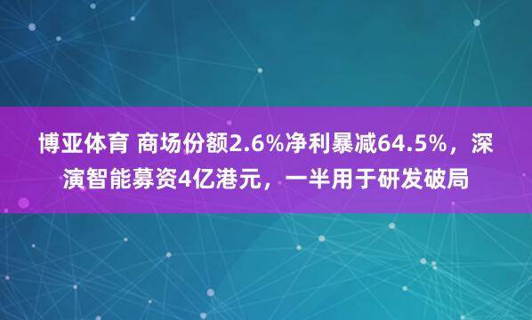 博亚体育 商场份额2.6%净利暴减64.5%，深演智能募资4亿港元，一半用于研发破局