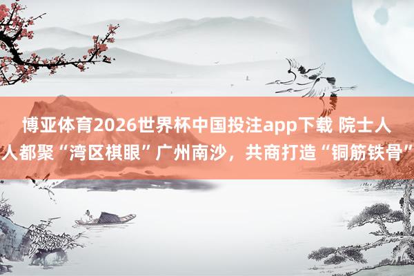 博亚体育2026世界杯中国投注app下载 院士人人都聚“湾区棋眼”广州南沙,共商打造“铜筋铁骨”