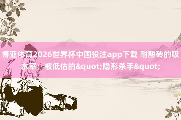 博亚体育2026世界杯中国投注app下载 耐酸砖的吸水率:被低估的"隐形杀手"