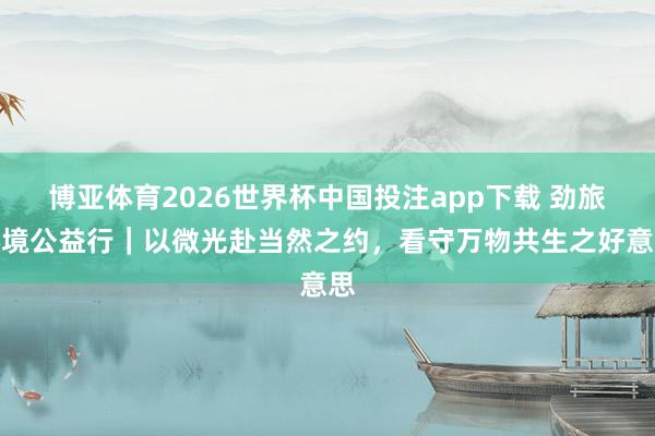 博亚体育2026世界杯中国投注app下载 劲旅环境公益行|以微光赴当然之约,看守万物共生之好意思
