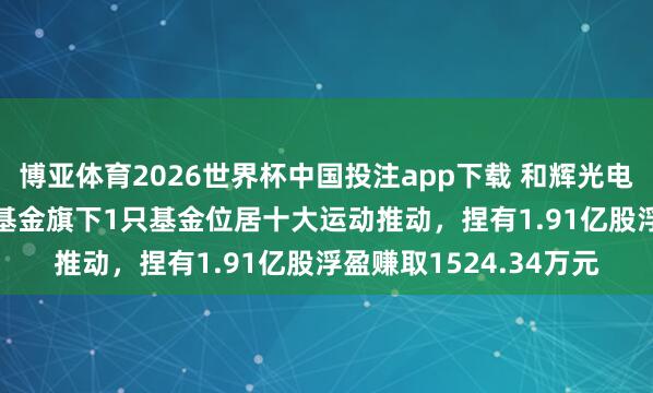 博亚体育2026世界杯中国投注app下载 和辉光电股价涨3.36%,中原基金旗下1只基金位居十大运动推动,捏有1.91亿股浮盈赚取1524.34万元