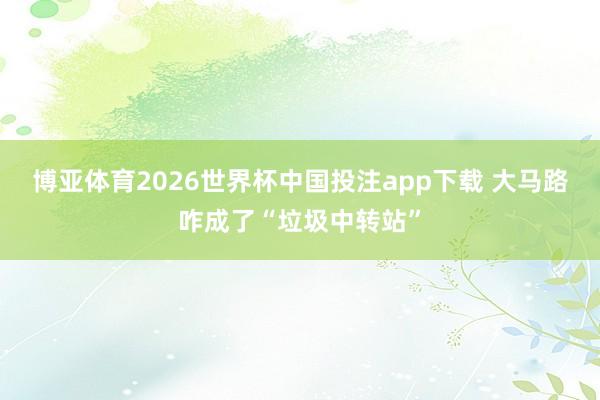 博亚体育2026世界杯中国投注app下载 大马路咋成了“垃圾中转站”