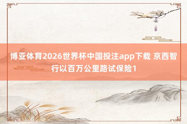 博亚体育2026世界杯中国投注app下载 京西智行以百万公里路试保险1