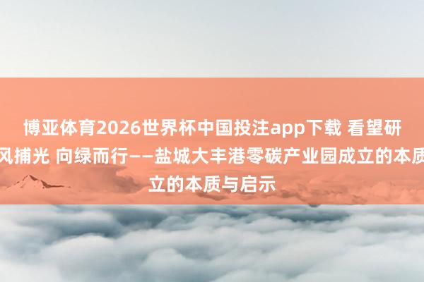 博亚体育2026世界杯中国投注app下载 看望研究|驭风捕光 向绿而行——盐城大丰港零碳产业园成立的本质与启示