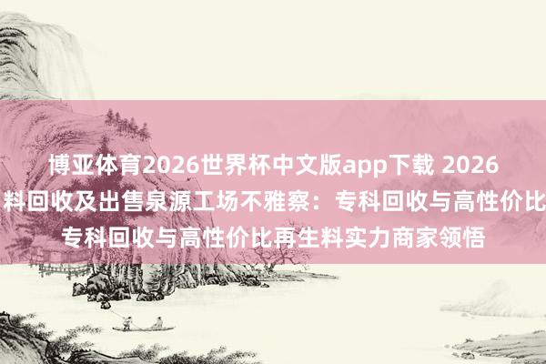 博亚体育2026世界杯中文版app下载 2026年5月尼龙/塑胶水口料回收及出售泉源工场不雅察:专科回收与高性价比再生料实力商家领悟