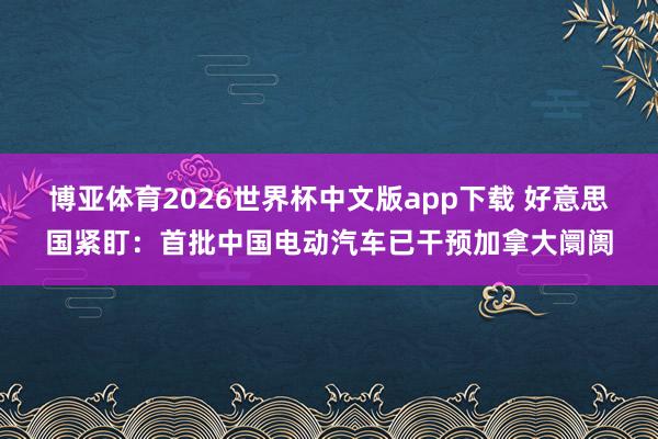博亚体育2026世界杯中文版app下载 好意思国紧盯:首批中国电动汽车已干预加拿大阛阓