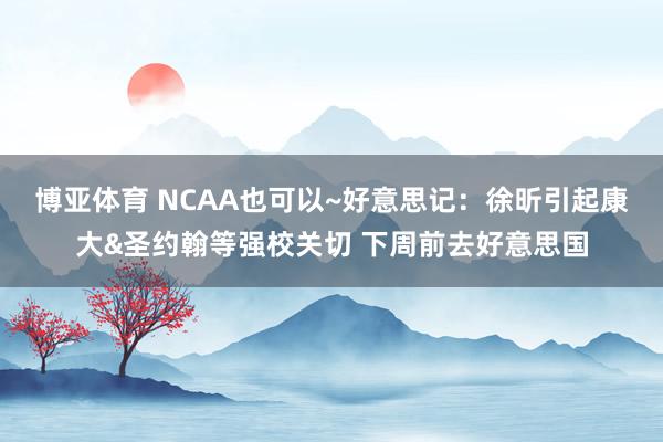 博亚体育 NCAA也可以~好意思记:徐昕引起康大&圣约翰等强校关切 下周前去好意思国