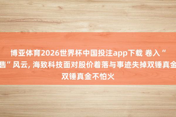 博亚体育2026世界杯中国投注app下载 卷入“包盘配售”风云, 海致科技面对股价着落与事迹失掉双锤真金不怕火