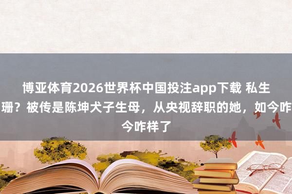 博亚体育2026世界杯中国投注app下载 私生计阑珊?被传是陈坤犬子生母,从央视辞职的她,如今咋样了