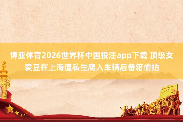 博亚体育2026世界杯中国投注app下载 顶级女爱豆在上海遭私生爬入车辆后备箱偷拍