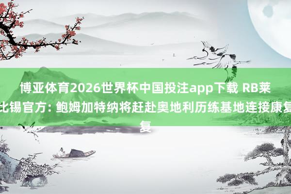 博亚体育2026世界杯中国投注app下载 RB莱比锡官方: 鲍姆加特纳将赶赴奥地利历练基地连接康复