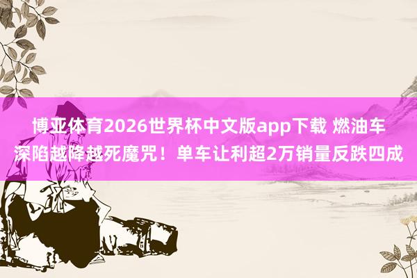 博亚体育2026世界杯中文版app下载 燃油车深陷越降越死魔咒!单车让利超2万销量反跌四成