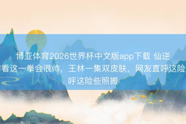 博亚体育2026世界杯中文版app下载 仙逆：提防看这一拳会很帅，王林一集双皮肤，网友直呼这险些照搬