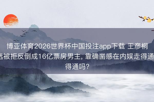 博亚体育2026世界杯中国投注app下载 王彦桐海选被拒反倒成16亿票房男主, 靠确凿感在内娱走得通吗?