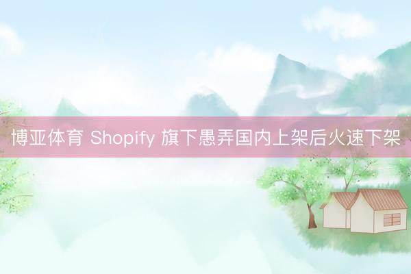 博亚体育 Shopify 旗下愚弄国内上架后火速下架