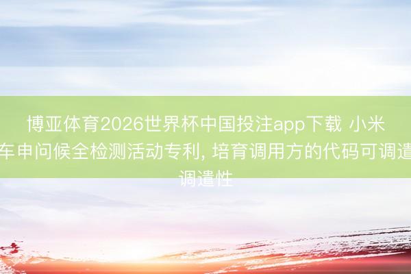 博亚体育2026世界杯中国投注app下载 小米汽车申问候全检测活动专利, 培育调用方的代码可调遣性